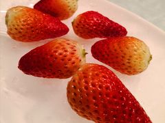 -东方明珠老上海8号餐厅(东方明珠广播电视塔店)