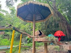 -广州长隆野生动物世界
