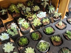 -盒马鲜生(枣园路店)