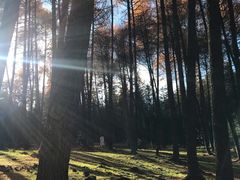 -硗碛藏寨·神木垒景区