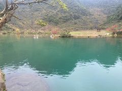 -靖西鹅泉风景区