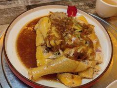 -食德喜·阳山鸡王食研基地
