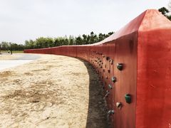 -春花秋色城市公园