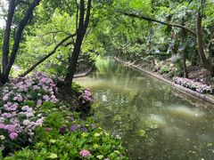 -上海滨江森林公园