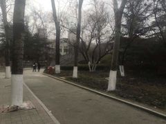 -山东大学(洪家楼校区)