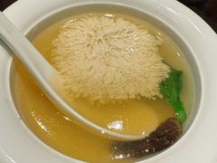 羊肚菌炖菊花豆腐-萬國春·中菜馆(颐和公馆店)