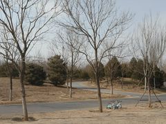 -东郊湿地公园