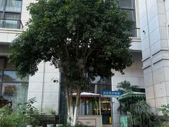 -苏州金科大酒店