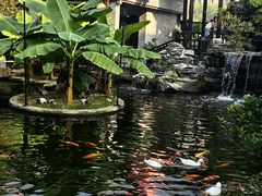 -顺德渔村·岭南一号