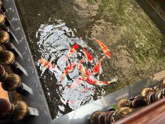 -福禧酒窖·中餐厅 (万柳店)