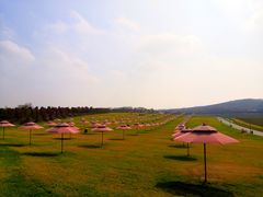 -南京枫彩漫城