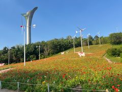 -沈阳植物园