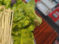 -沙胆彪炭炉牛杂煲(成都玉林店)