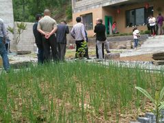 吃完饭，在院子里，屋檐下聊聊天-柞水乾佑红门家菜