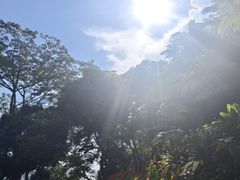 -莲花山公园