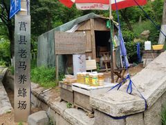 -青岛电视塔