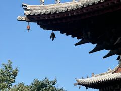 -善化寺