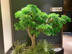 -金汇酒楼(中山东区店)