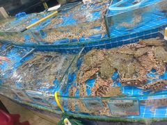 -鸿港海鲜批发市场