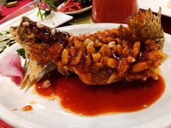 松鼠桂鱼-得月楼·省级非遗·传统苏帮菜(观前店)
