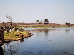 -上海海湾国家森林公园