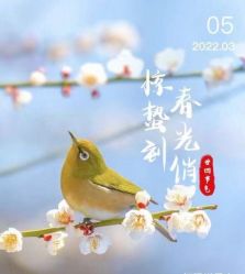 -Oasis Beauty水磨坊科技美肤中心