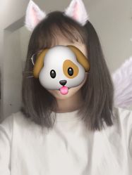 -蚂蚁造型沙龙