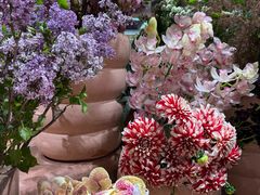 -BEAST野兽派(上海浦东嘉里城店)