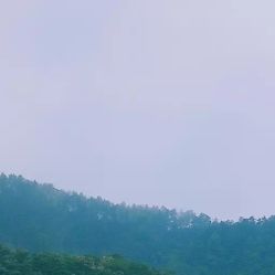 -凡碧诗毛孔收细