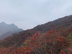 -水峪民俗村