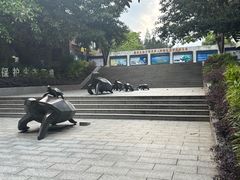 -广东惠东海龟国家级自然保护区