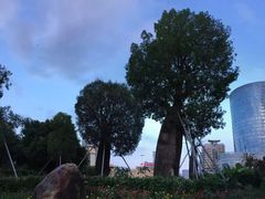 -南宁南湖公园