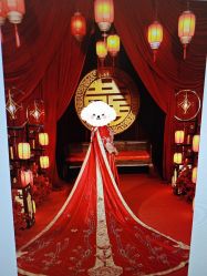 -金夫人婚纱摄影(总店)