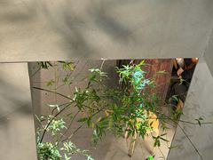 -本处·素食·融合料理(南油店)