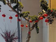 -鲁菜根·泰安菜(万达店)