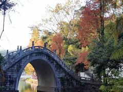 -深圳仙湖植物园