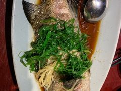 清蒸石斑鱼-潮堂(环球金融中心店)