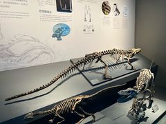 -自贡恐龙博物馆