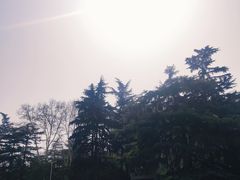 -西安市长乐公园