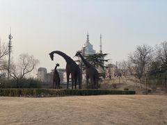 -莲花池公园
