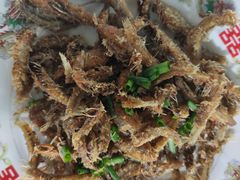 -小六农家乐(崇明西沙湿地店)