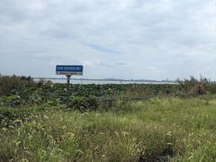 -七的湖·晚芳亭·阳澄湖农家菜·大闸蟹(莲花岛店)