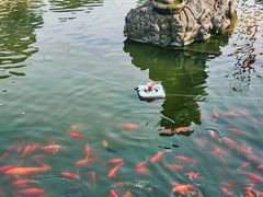 -会龙寺