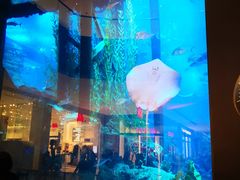 -迪拜水族馆及水下动物园