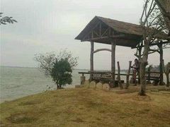 -瑶湖郊野森林公园