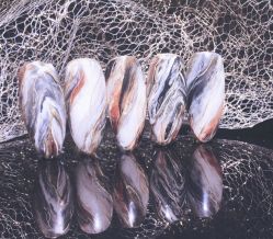 -Aso Artist Beauty美甲美睫