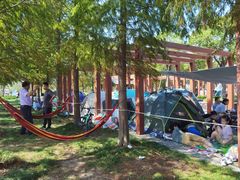 -春花秋色城市公园