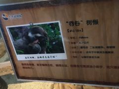 -昆明大悦城未来动物城(螺蛳湾中心店)