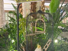 -太湖饭店玉兰厅(自助餐厅)