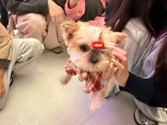 -义乌之心城市生活广场